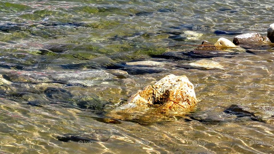 Rocks on bottom of shallow water