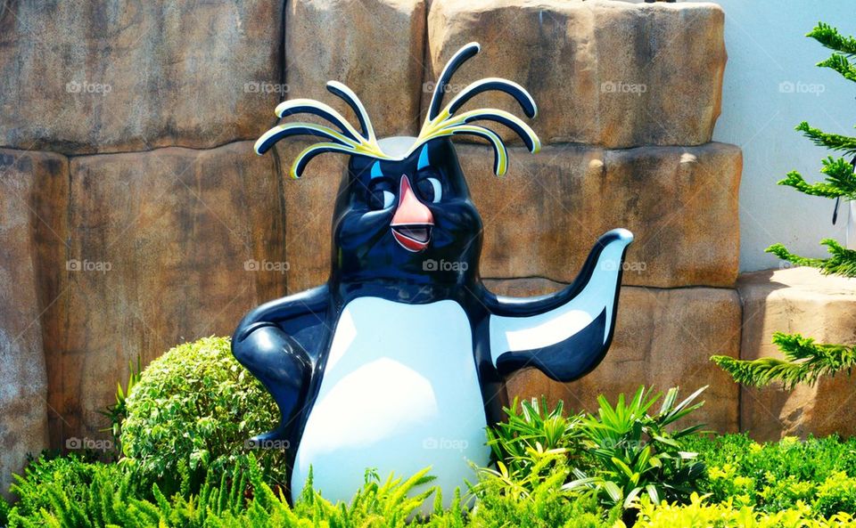 Ocean Park penguin