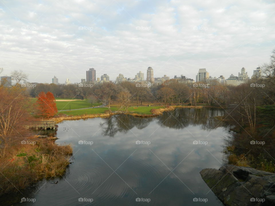 Central Park. We were enjoying an afternoon in Central Park.