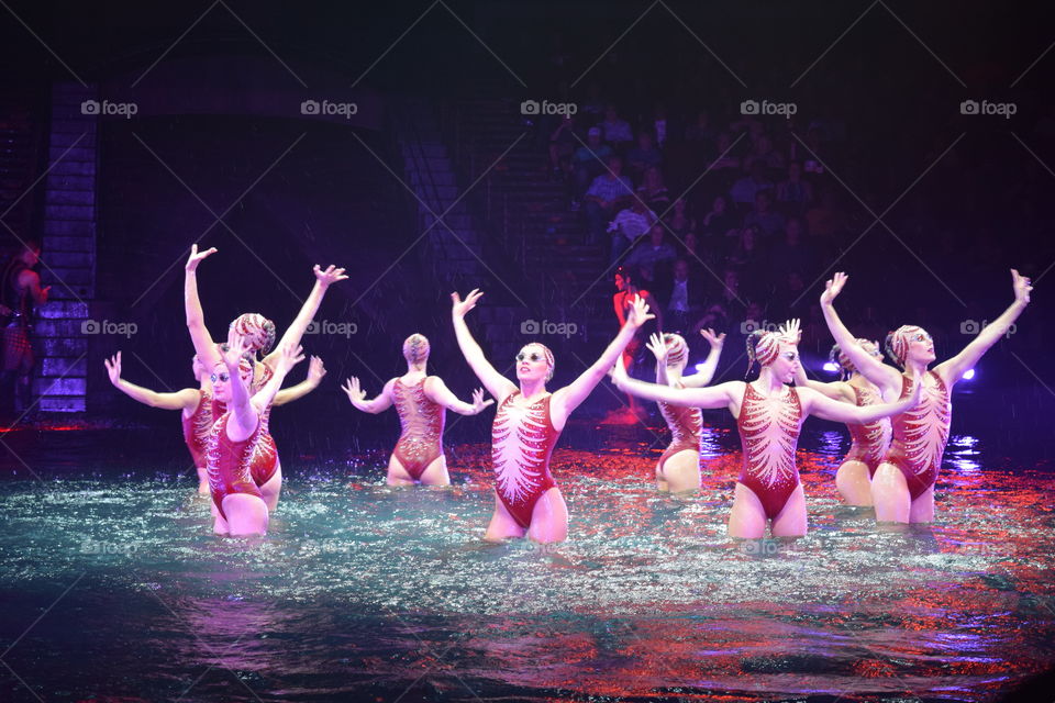 Performers of Le Reve