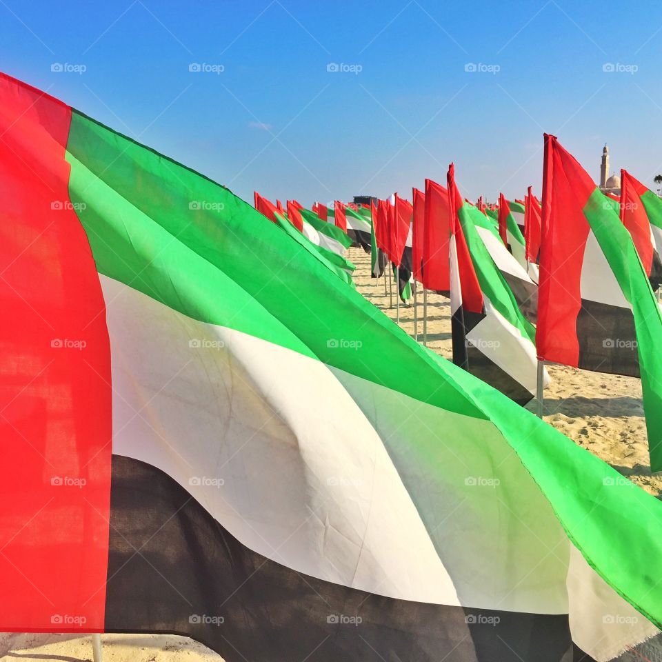 UAE's 44th National Day