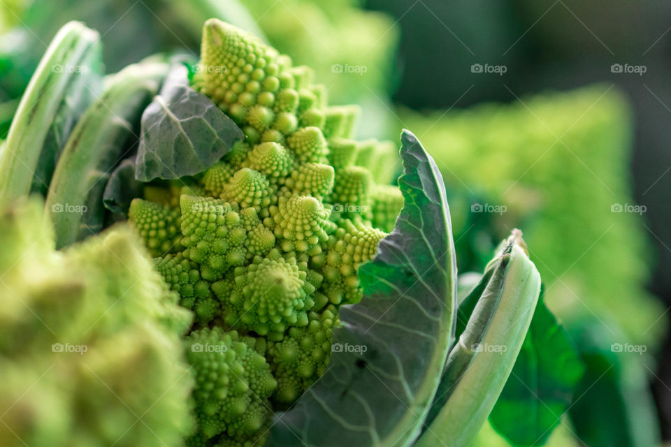 Romanesco Broccoli