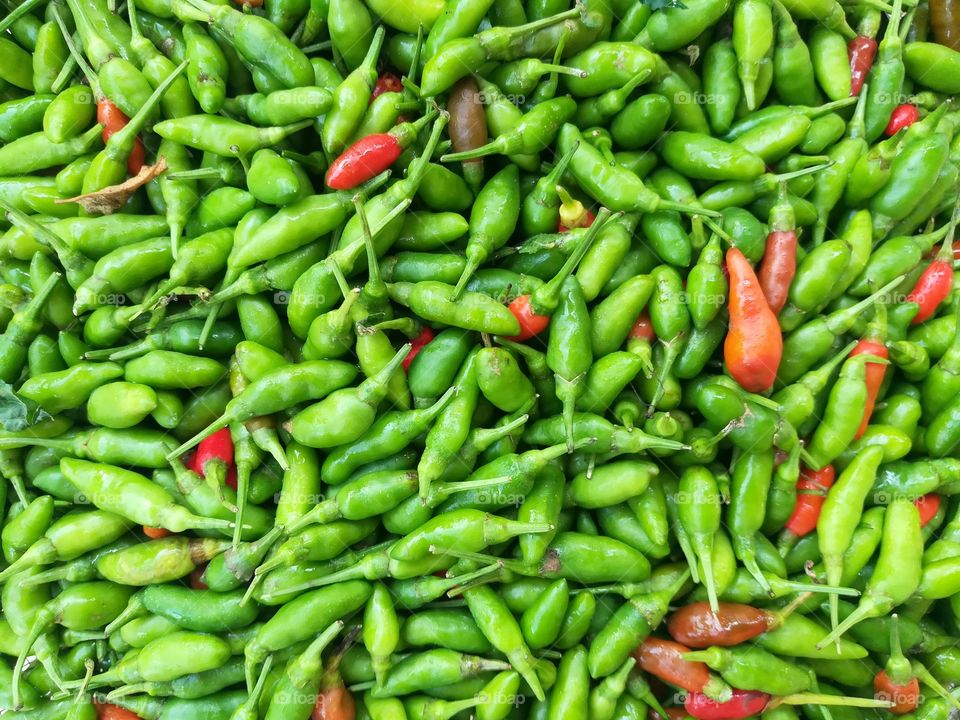 Organic chilli background. fresh organic vegetables.