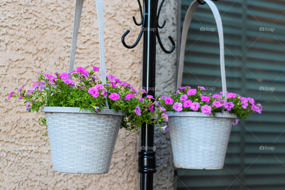 Flower, Pot, Flowerpot, Garden, Flora