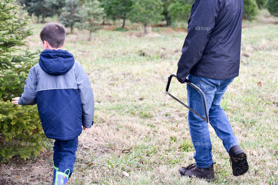 Father and son walking together at a tree farm to cut a Christmas tree