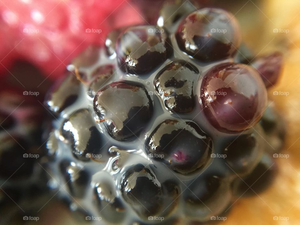 A macro closeup of a blackberry 