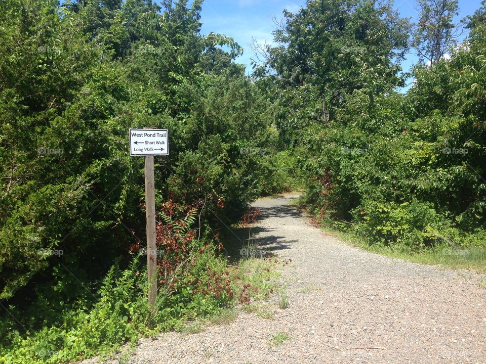 Gateway National Park path. Hiking trail in Gateway National Park, Queens, New York
