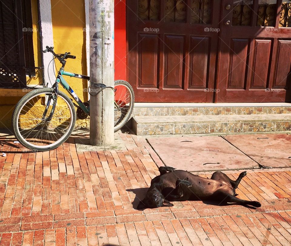 Soaking up the Sun in Colombia 
