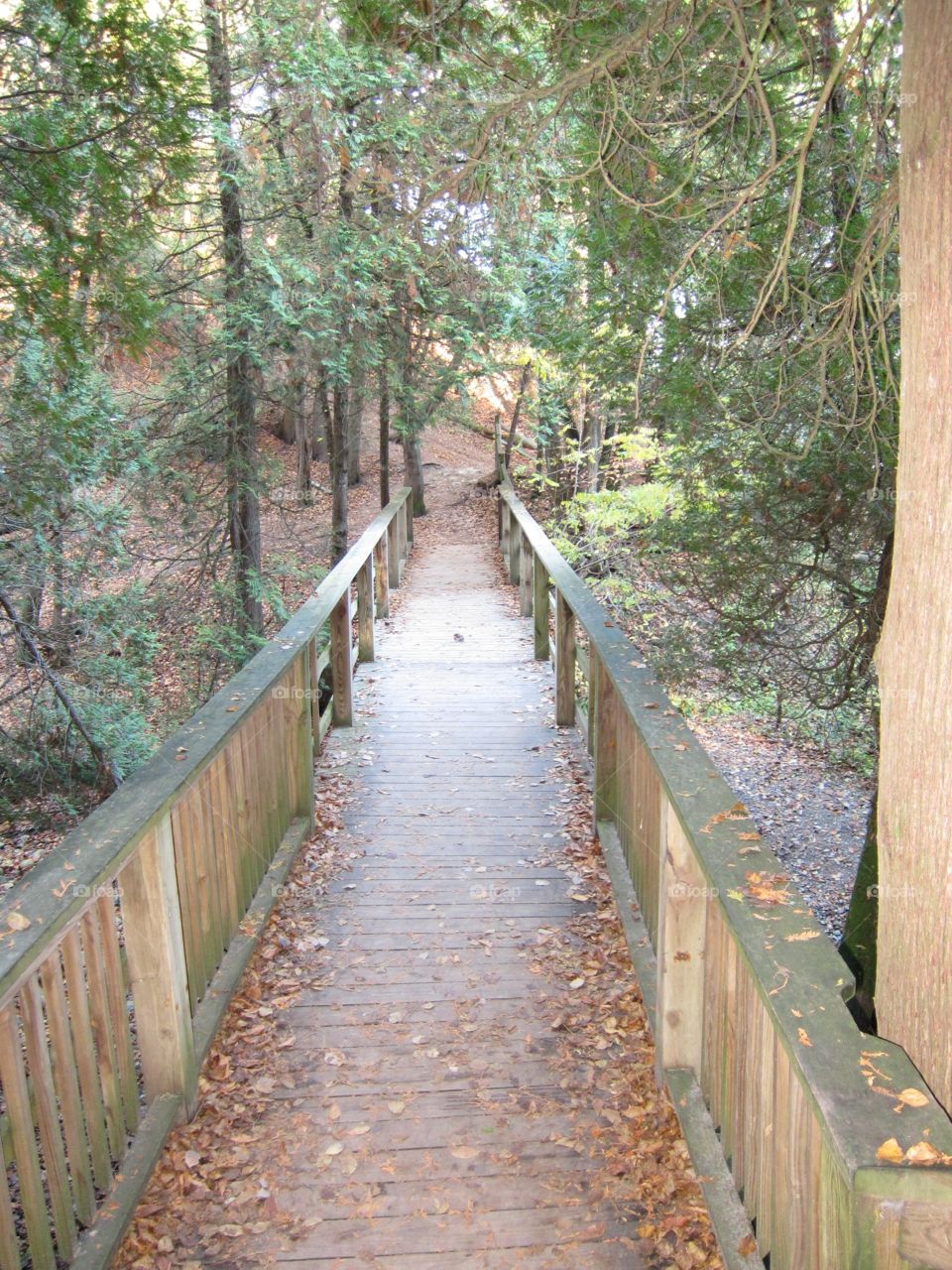 Lions path. Lions den path on lake Michigan 