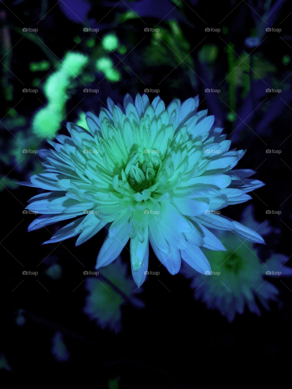 Creativity has power to make anything look magnificent