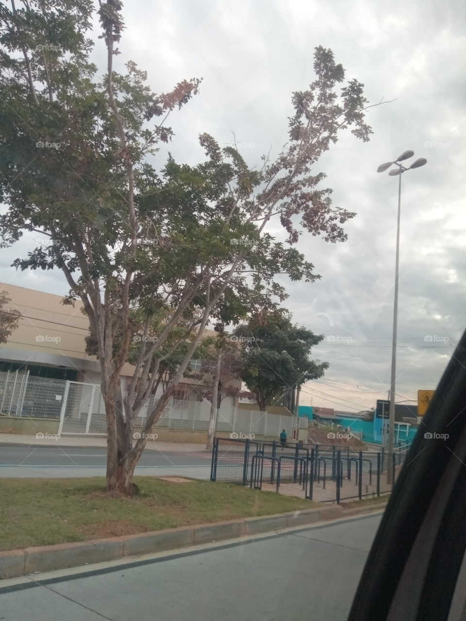 True Nature, No Filters # Truephotos