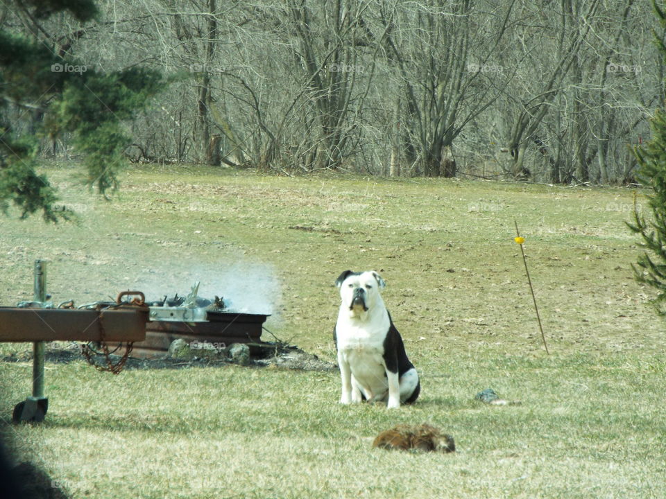 Driving the back Roads