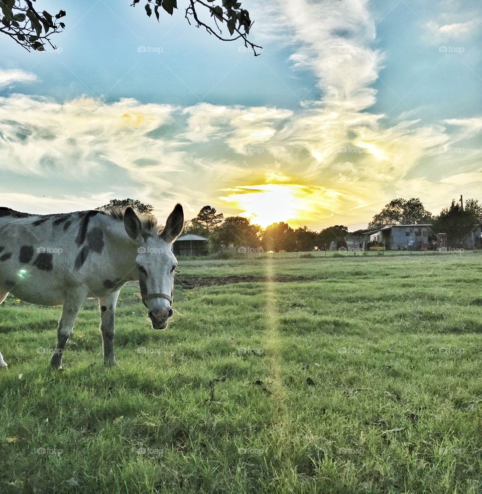 Sunset in Texas. 