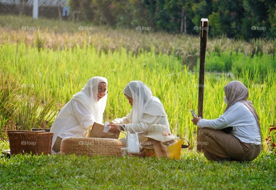 picnic