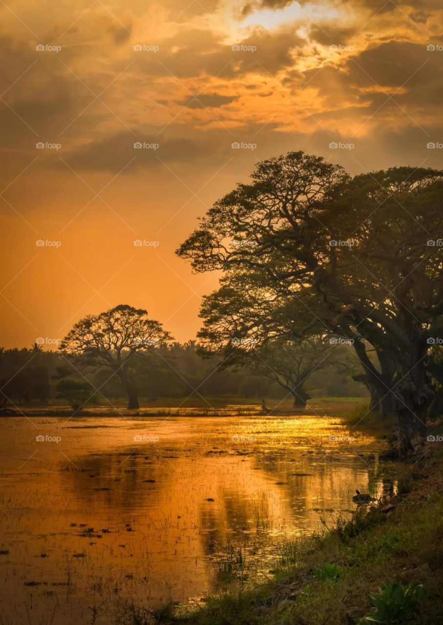 Sun makes wonderful colors