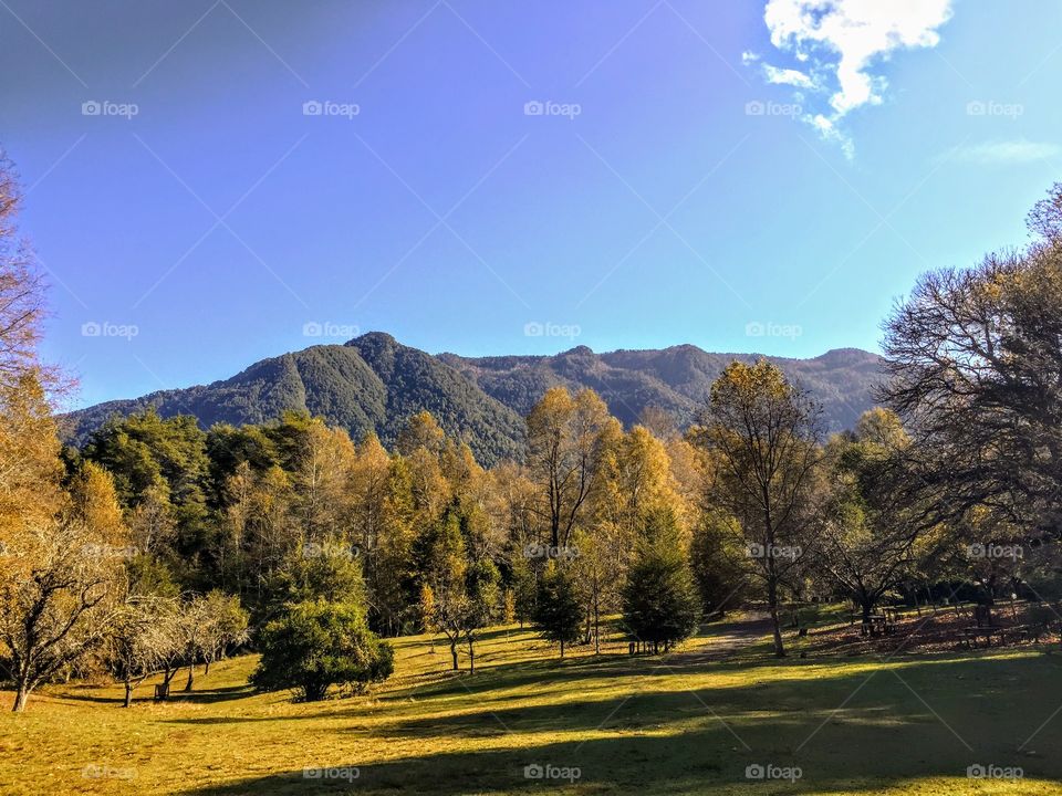 Lake District, Chile 