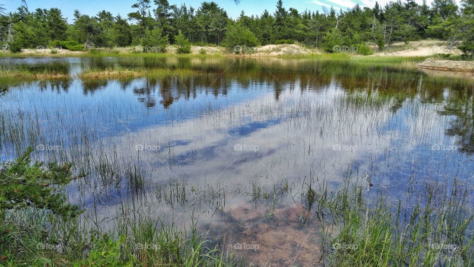 Pond on a hike Ludington Lighthouse