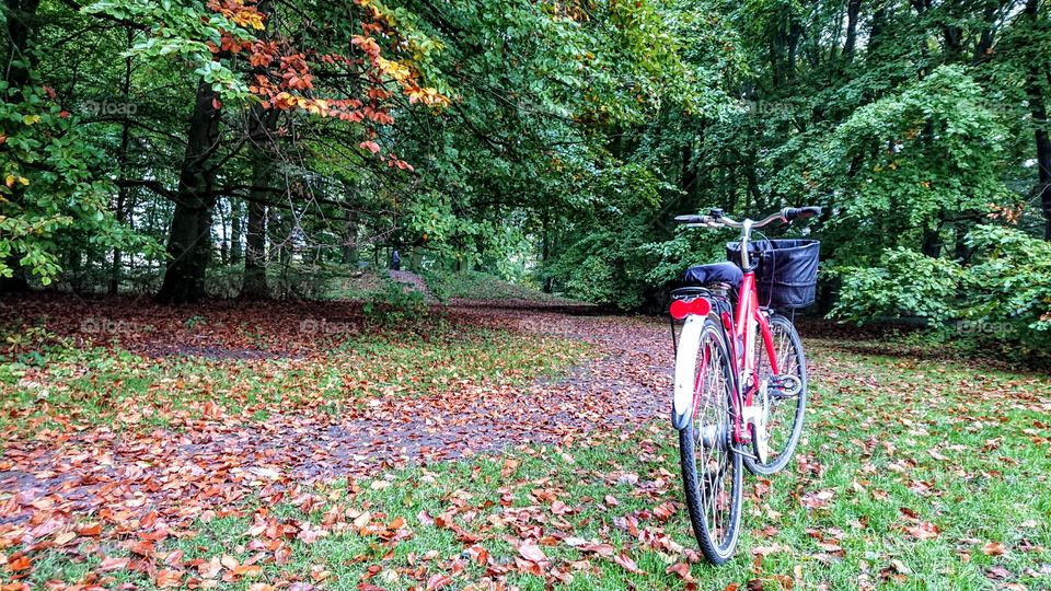 Red bike in fall