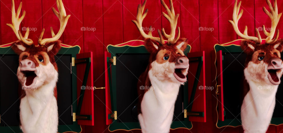 Singing reindeer at Union Station