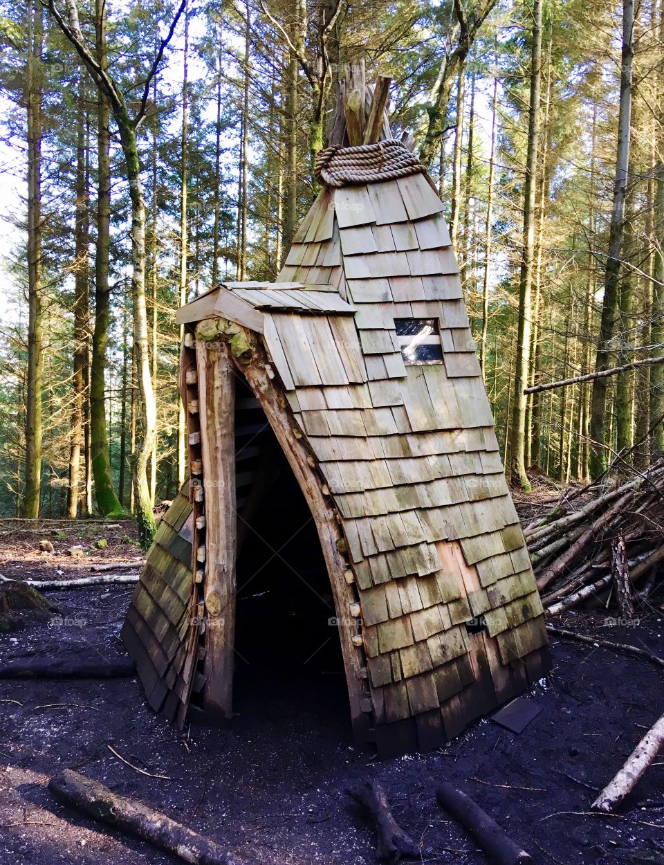 My ideal hide away, care to join me and rest a while. I love this little structure. Haldon forest is south of Exeter and covers a large area. We look forward to exploring more of it natural beauty 