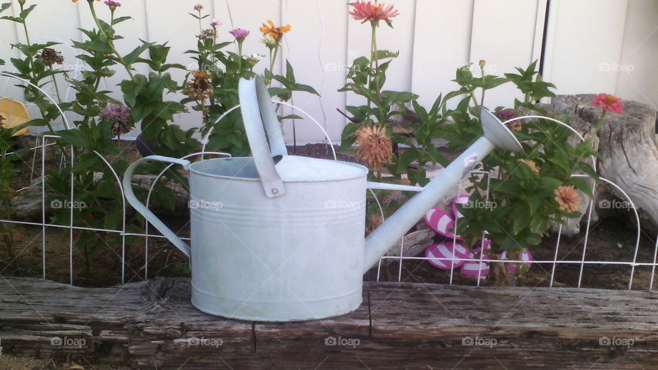 watering can. one of my favorite things to do is water my garden, usually I will use the hose, but occasionally I fill up my can.