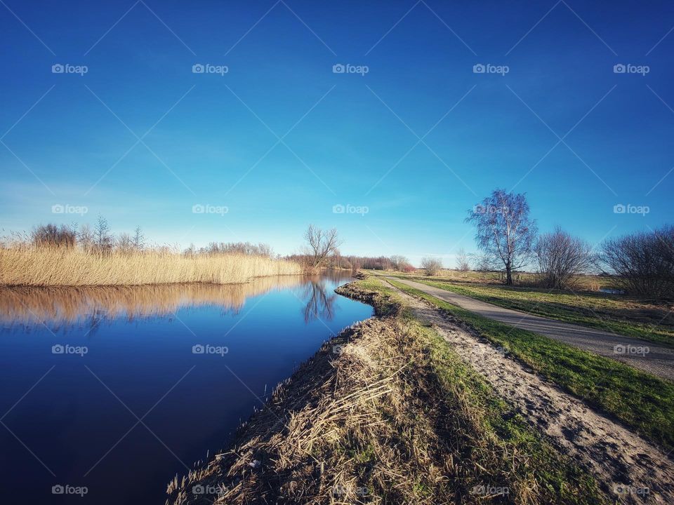 Sunnu cold sunny afternoon in the Netherlands