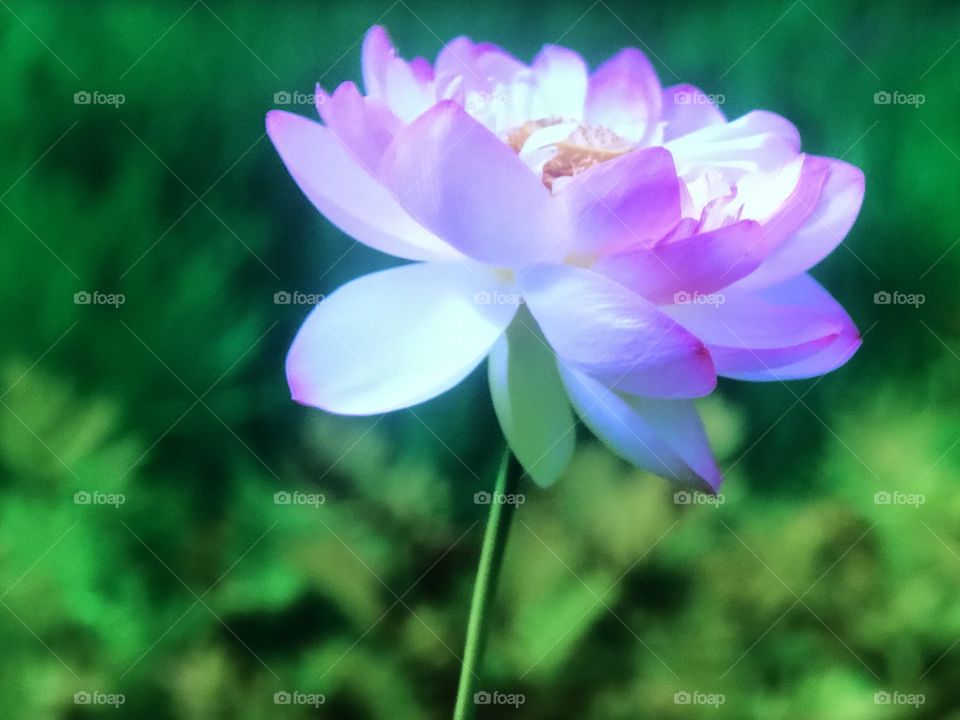 Norway beach from above