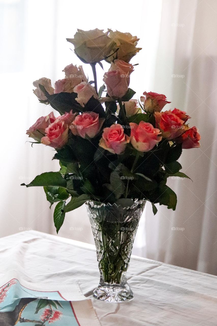 Pink roses in a vase