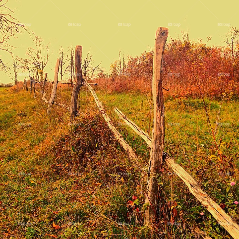 fence