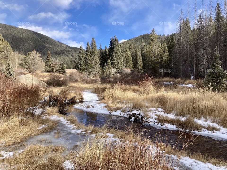 Winter stream 