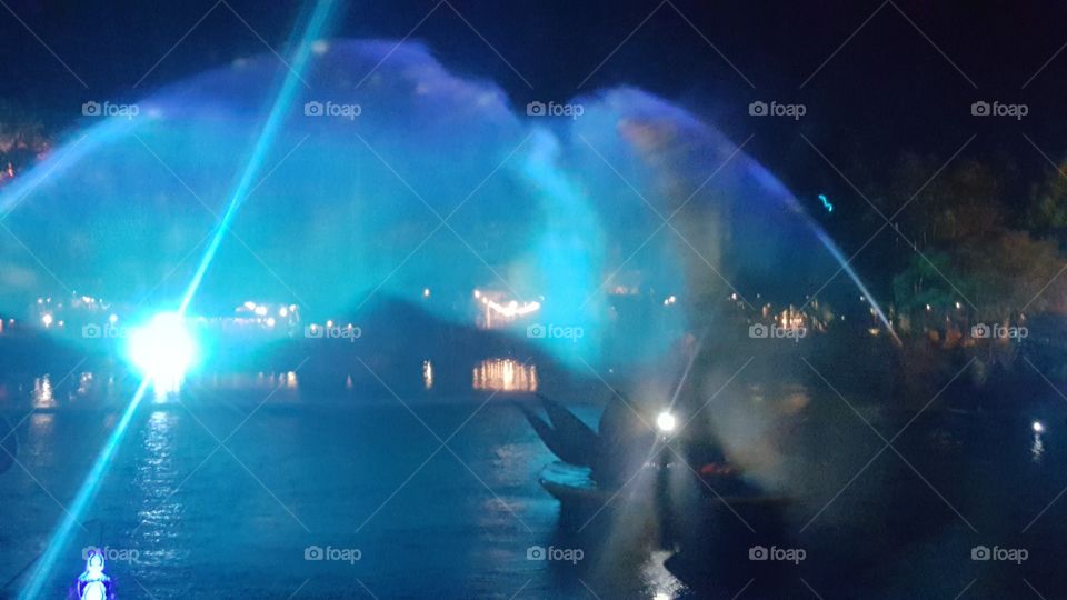 Dancing water reflects the light in over Discovery River during Rivers of Light at Animal Kingdom at the Walt Disney World Resort in Orlando, Florida.