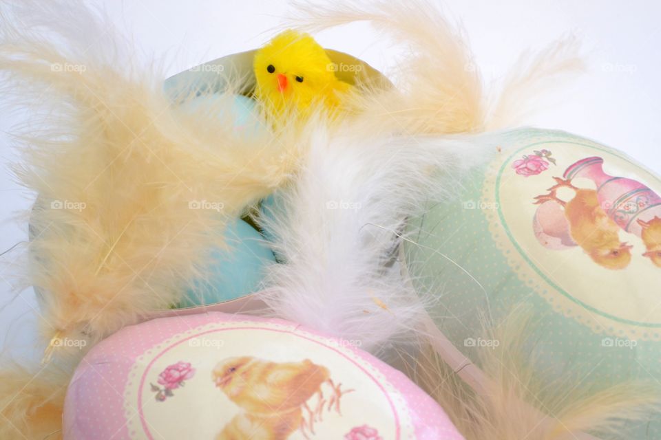 Easter, Downy, Bird, Chicken, Feather