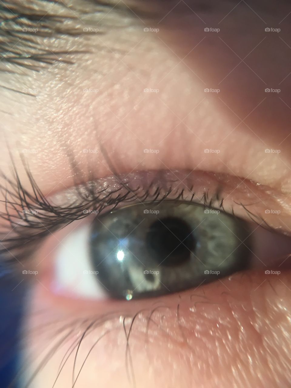 Second shot of my iris, different perspective :)