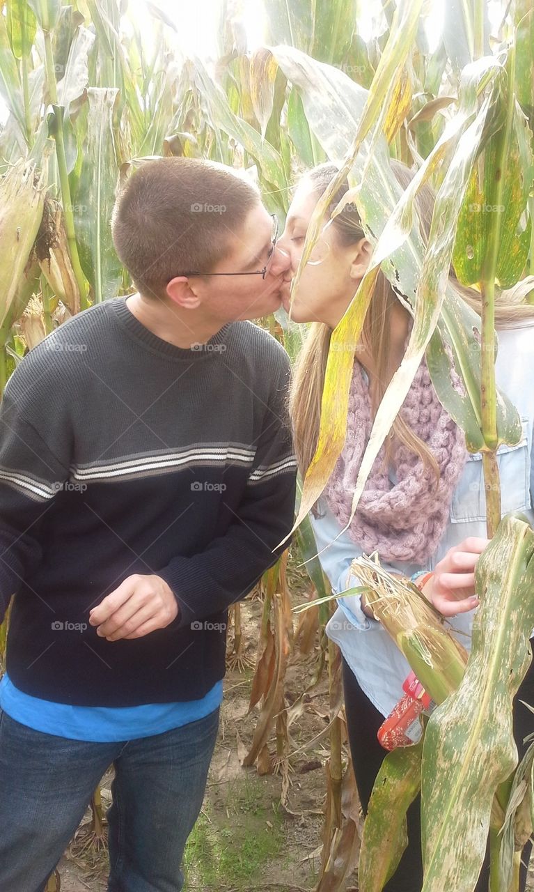 Corn Maze 