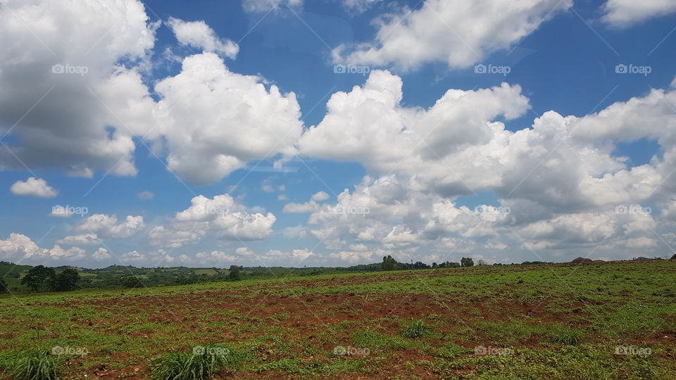 The clouds and sky meadows 