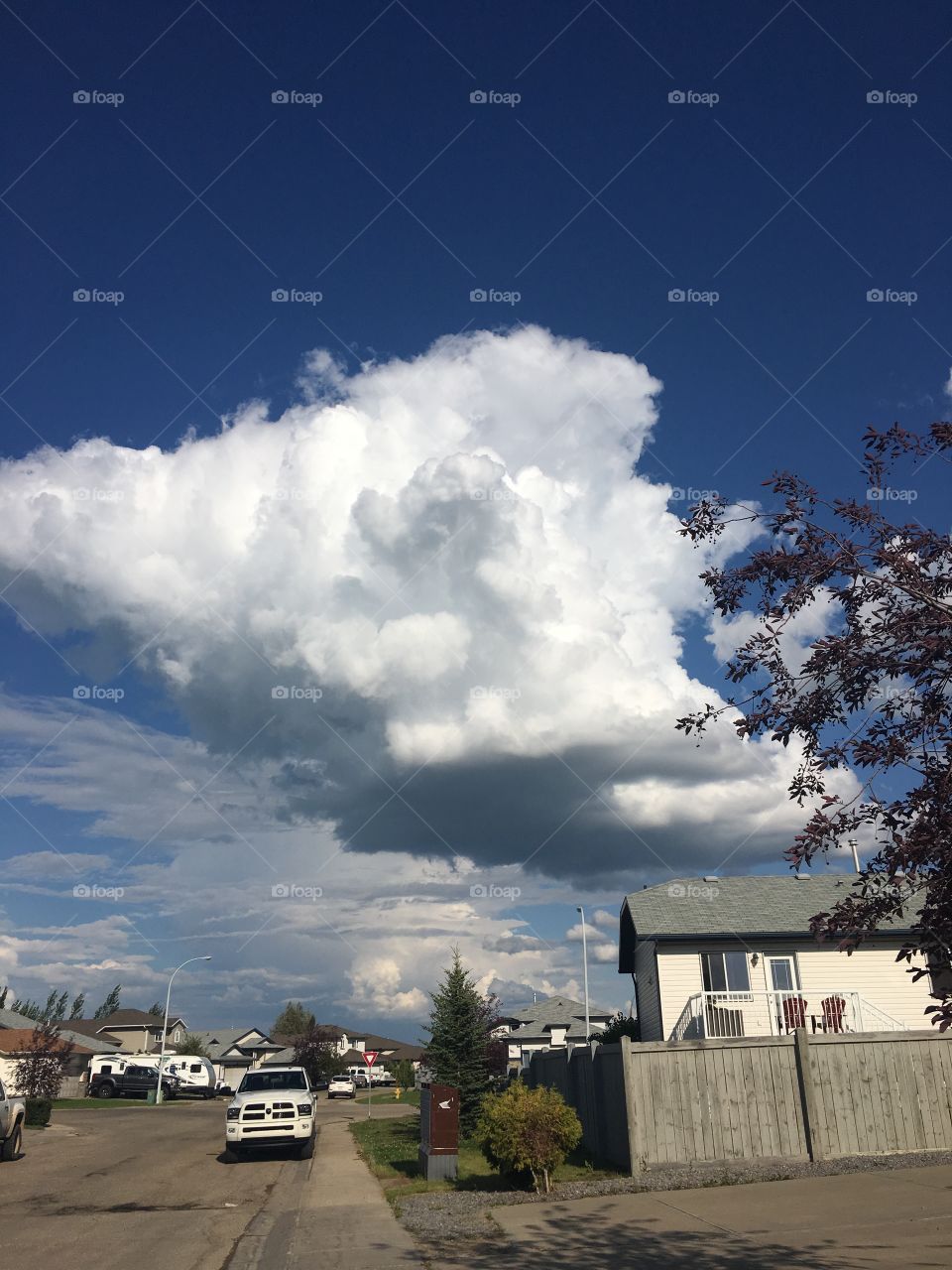 Clouds in the summer sky