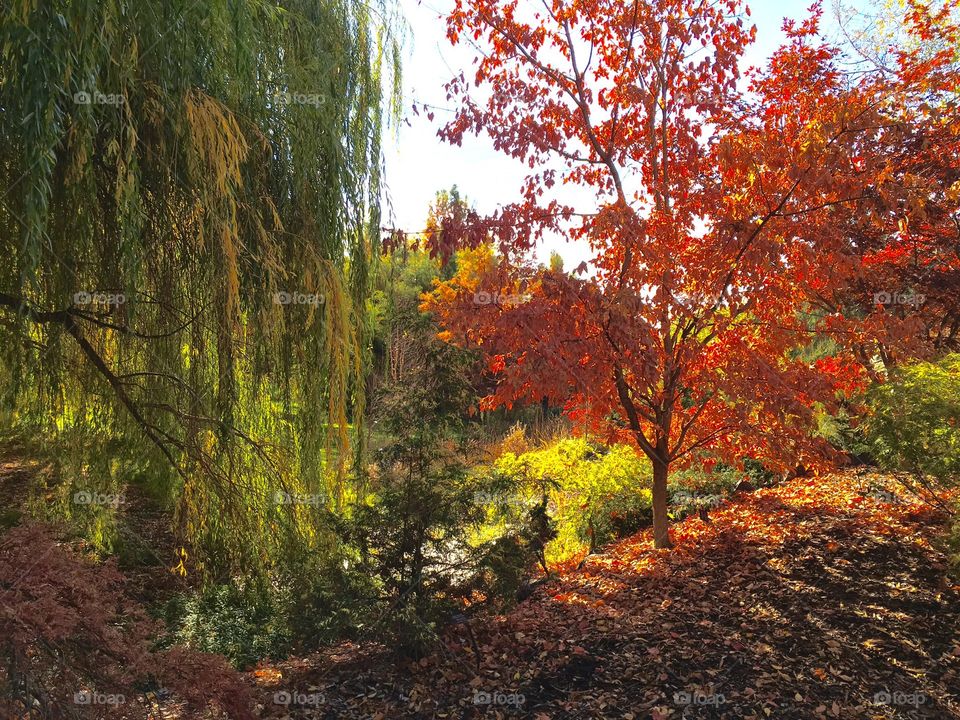 University of Idaho Arboretum and Botanical Garden