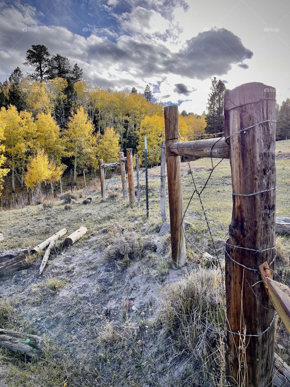 A high mountain western scene during the chilly tail end of fall in the mountains of southern Utah 