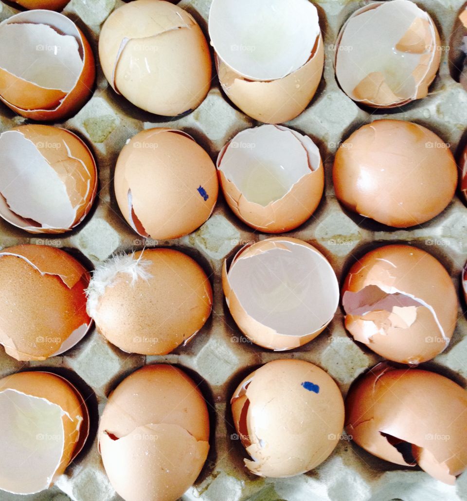 Egg shells