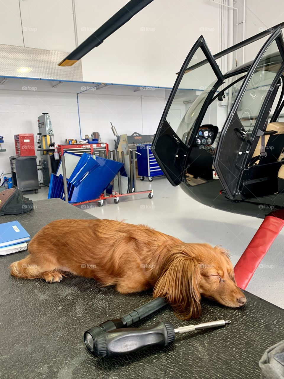 Sleeping on the job! 