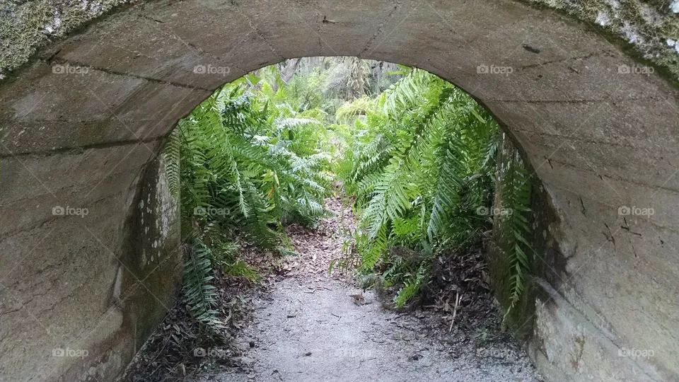 Tunnel