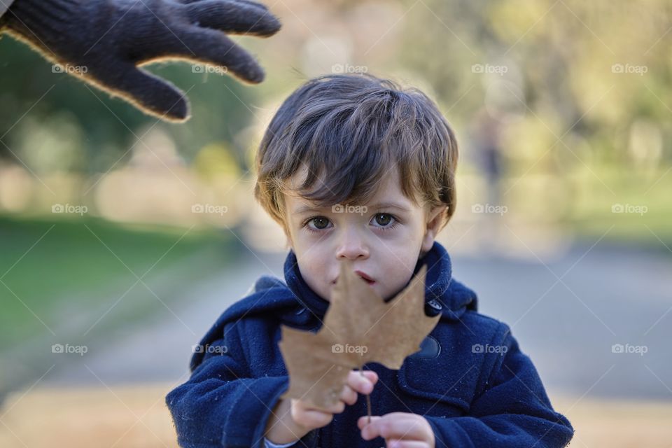 Little boy holding dry maple leaf in hand