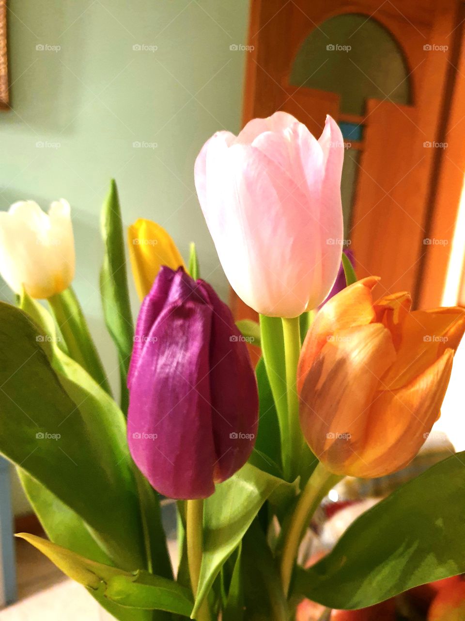 #tulpans