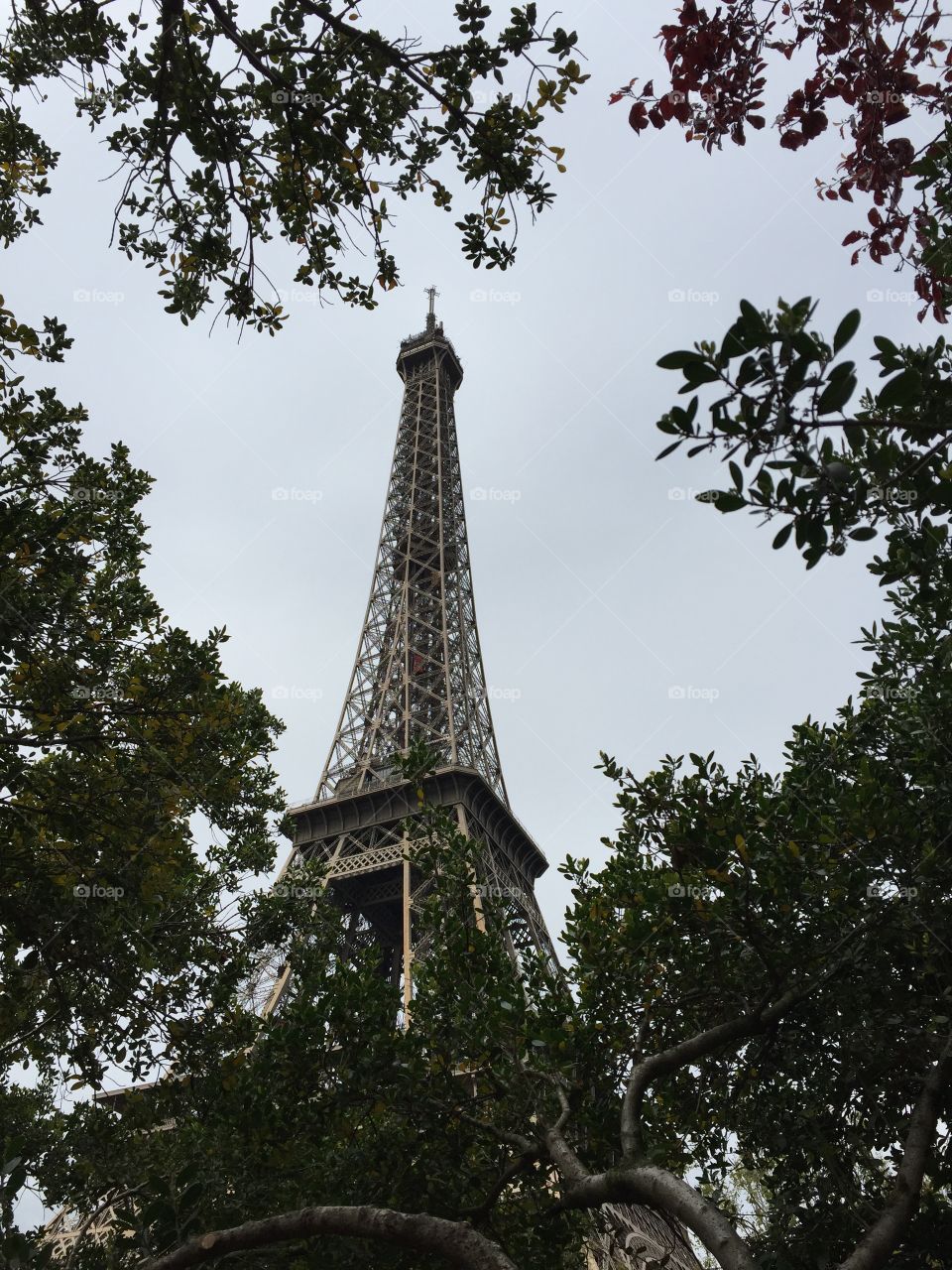 Eiffel Tower 