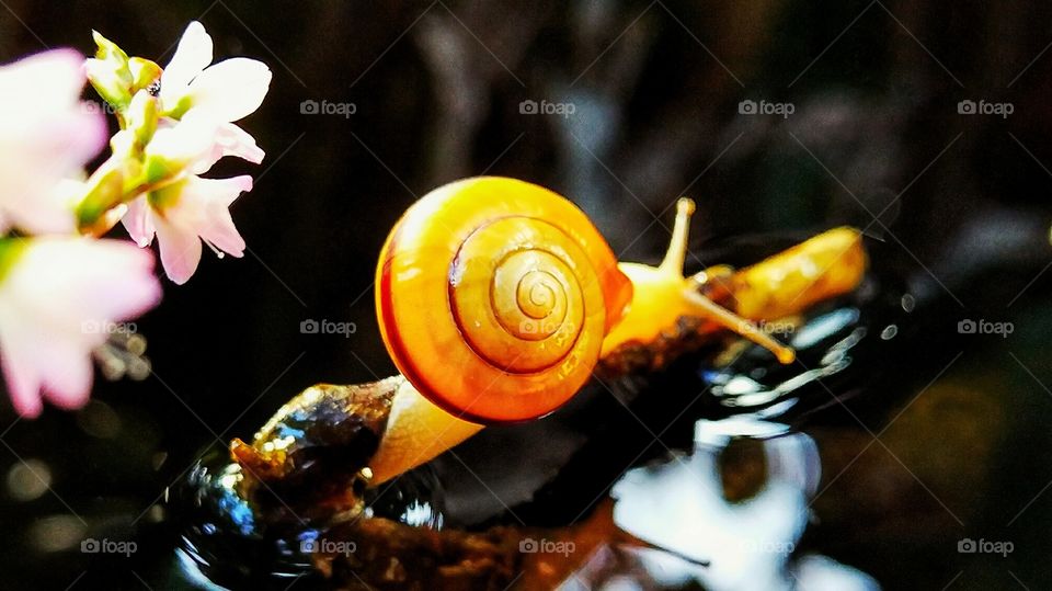 Keep moving forward!!