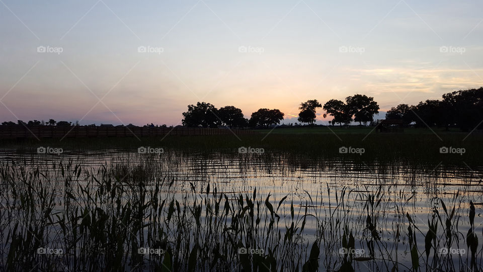 sunset over preserve