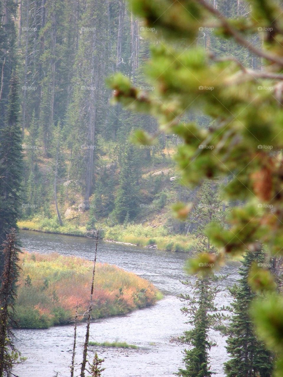 Colorado 