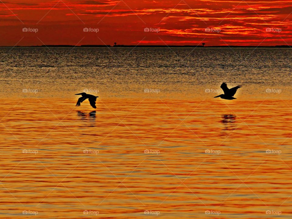 Twenty-Twenty - A review of a year like no other. I want to share my photos taken in 2020 that made me feel good and hope they do the same for you