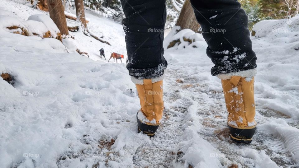 Close-up of a person's yellow snow boots in a snowy winter landscape, in the distance you can see a dog surprised by the arrival of that person.