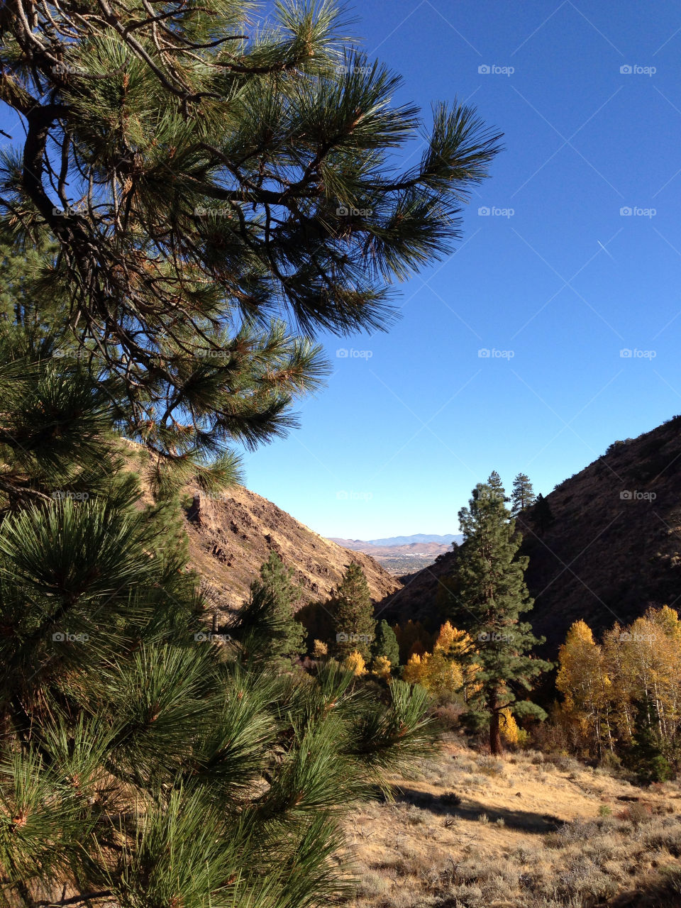 reno fall hiking trail by melody